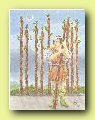 tarot card meanings, meaning of each tarot card, nine of wands, learning tarot cards